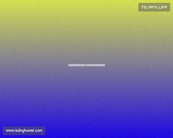 达拉斯独行侠的崛起与挑战 新时代篮球风云中的不懈追求