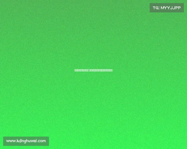 英超升班马崭露头角 新赛季他们能否打破传统强队格局