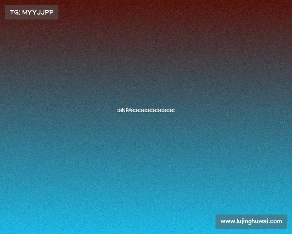 费城NBA球市文化探析及其对球队发展的深远影响